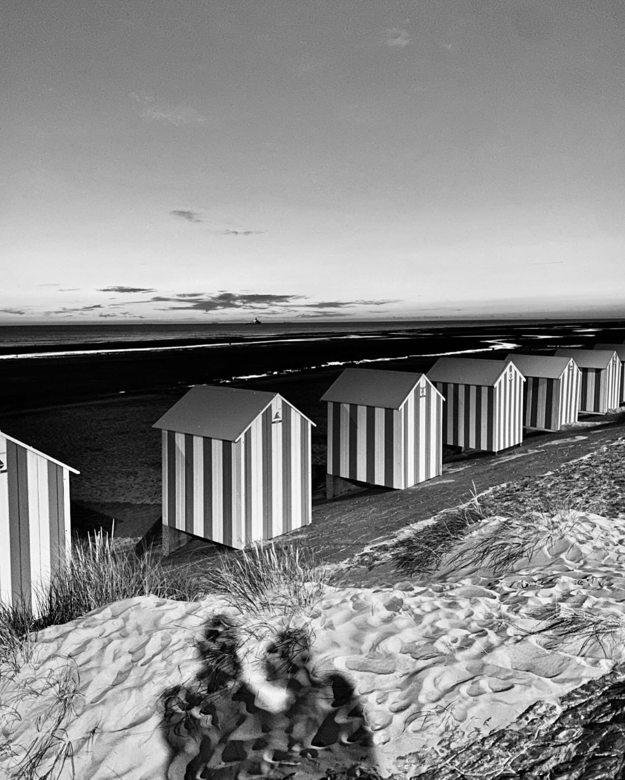 Cabines de plage rayées au-dessus des dunes, en fin de journée